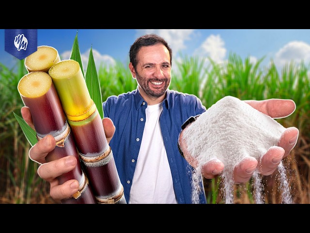 We turned SUGARCANE JUICE into SUGAR!