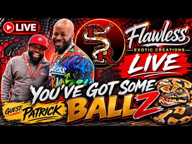 The REAL Truth About Building a Ball Python Collection | Patrick | You’ve Got Some BALLZ Ep. 77