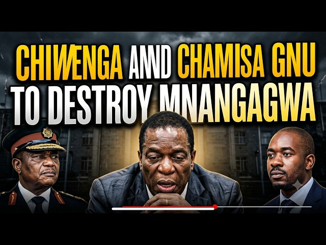 Chiwenga & Chamisa GNU to Destroy Mnangagwa