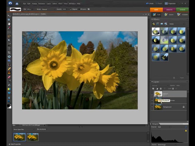 Editing 1-0-1 in (Adobe) - Creative Suite, Photoshop, Elements, Lightroom, (Microsoft) - Paint,