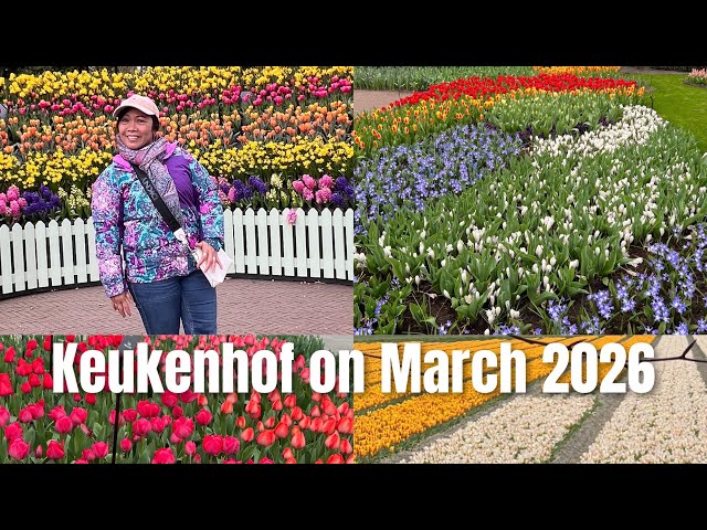 INFO, TIPS, CERITA TRIP KE KEUKENHOF  DAN LADANG BUNGA DI BELANDA, 24 MARET 2026