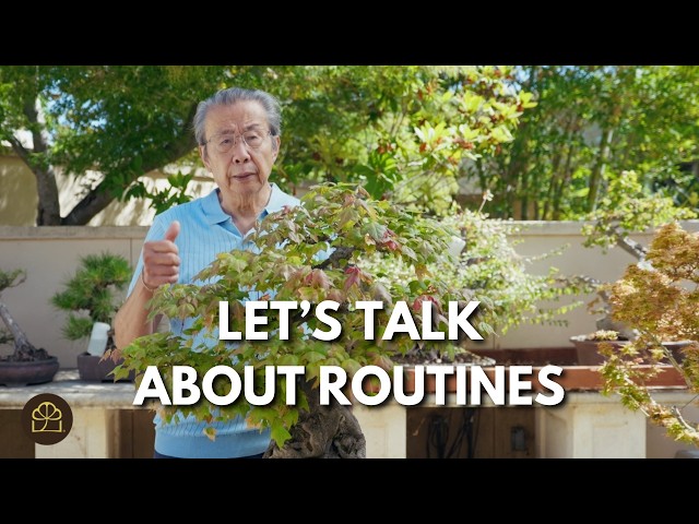 Why Bonsai is a Big Part of My Life