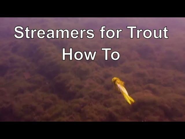 La guía de Orvis para la pesca con mosca con streamers