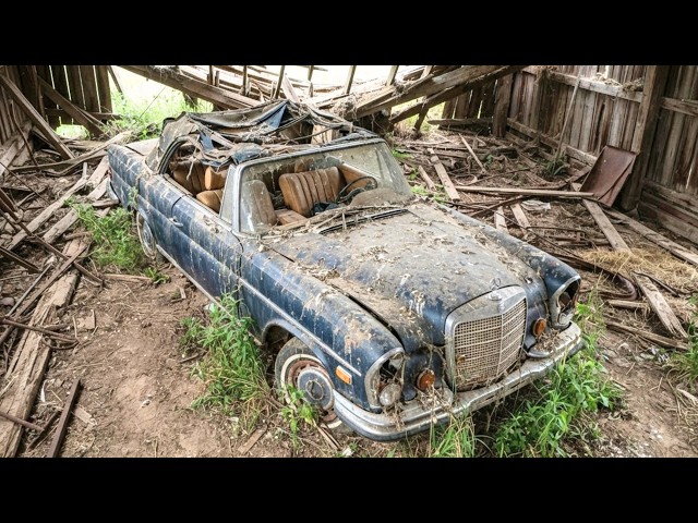 I Spent 6 Months Restoring This Forgotten 1971 Mercedes-Benz 280 SE #asmrrestoration