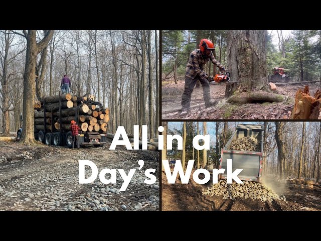 All In A Day’s Work. -Logging-