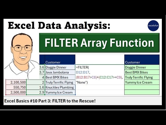 MS 365 Excel Basics #10 Part 03: FILTER Array Function to Dynamically Filter!