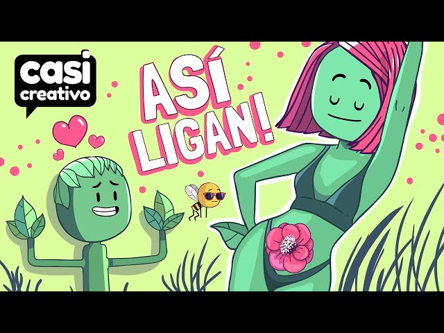 Así se Enamoran Las Plantas | Casi Creativo