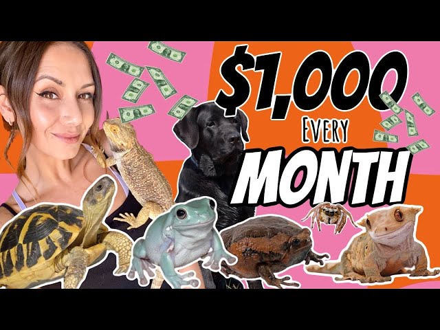 I Calculated How Much ALL My Pets Cost Me… 💸