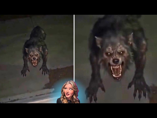 Nightmarish CRYPTIDS, Paranormal, & More HORRORS Caught on Camera