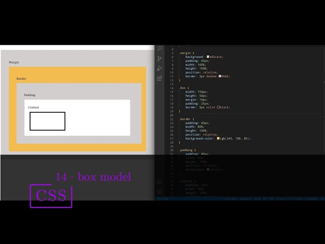 CSS 14 💻 box model