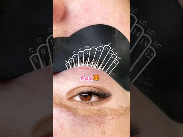 Map your lash lengths & curls like a pro 📏✨