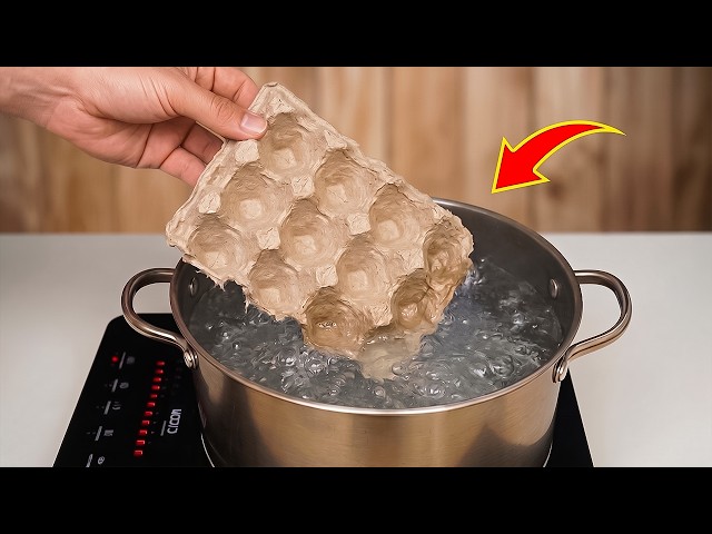 Stop Throwing Away Old Egg Cartons! Boil Them and Be Shocked by the Results! | Creation Invention