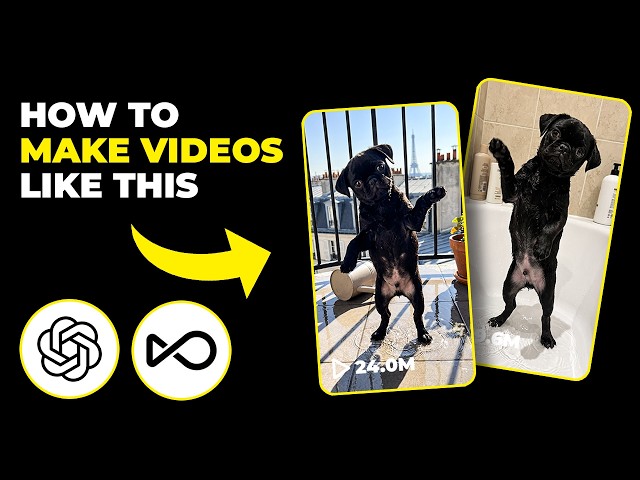 How To Make Dancing Pet Videos (Fast Tutorial)