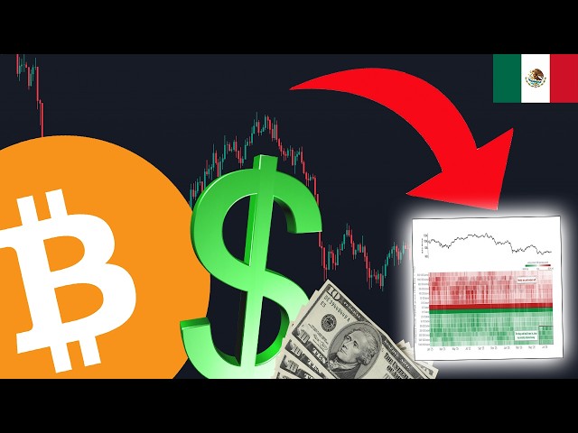 BITCOIN... LAS BALLENAS ACABAN DE CAMBIAR DE OPINIÓN