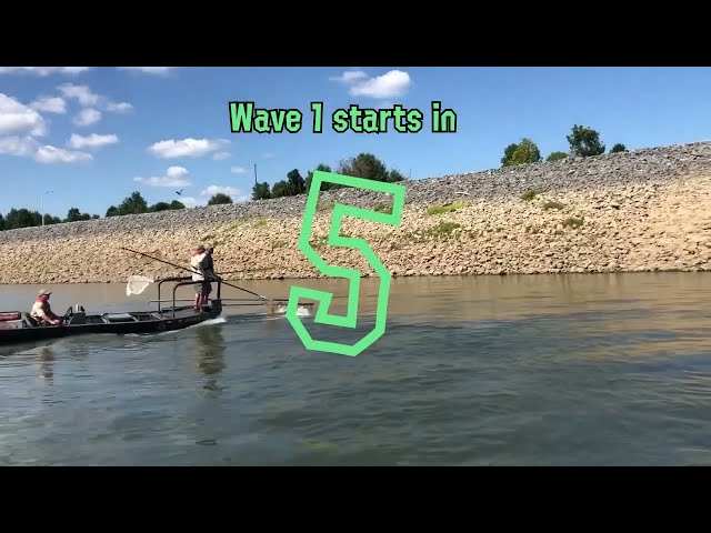 Salmon Run IRL