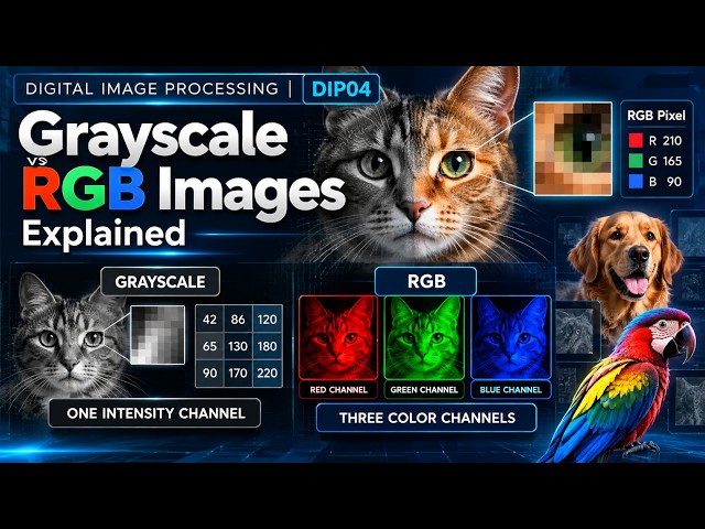 Grayscale vs RGB Images Explained | Channels & Pixel Intensity | Digital Image Processing #04