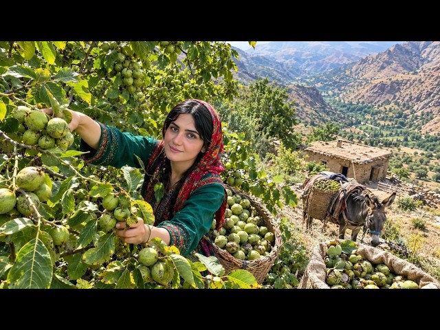 Iran Village Life: Harvesting Fresh Walnuts & Traditional Cooking