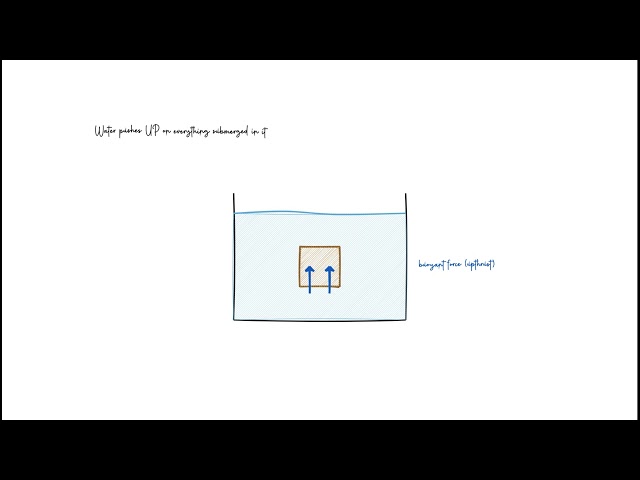 Can you Float on Water? Physics Explained!!