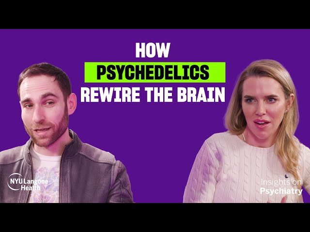 🧠 How Psychedelics Rewire the Brain | Joshua Siegel, MD, PhD