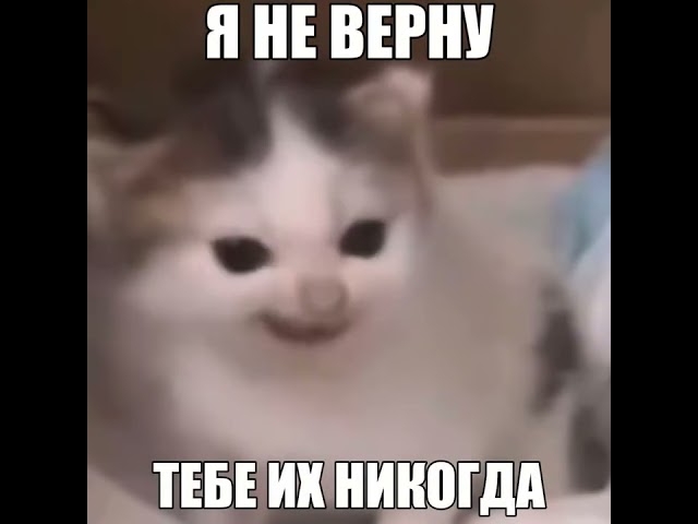 Открой базу и верни бр бр патапима