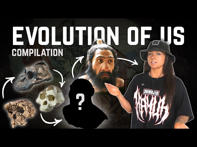 Evolution Of Us Compilation I 4h of human evolution to do your chores to | Lindsay Nikole