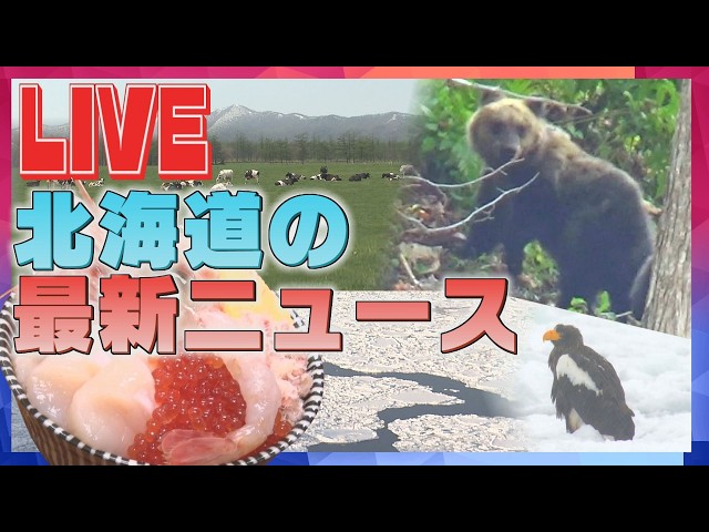 【LIVE】ニュースを２４時間配信 どさんこワイドの最新ニュース ＳＴＶニュース北海道２４