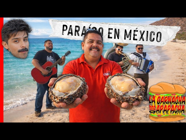 EL MEJOR MARISCO del país, están en BCS (Documental) | La garnacha que apapacha