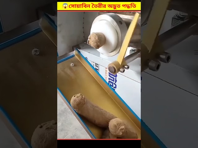 😱 সয়াবিন কীভাবে তৈরী করা হয় দেখে অবাক হয়ে যাবেন | Soybean Making Process Bangla