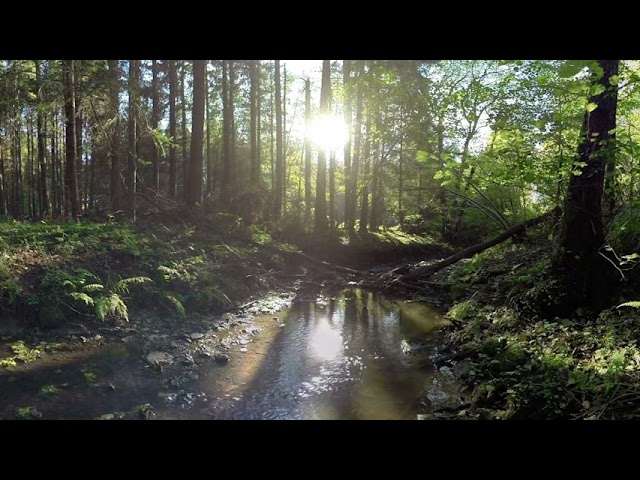 VR treaties are promises