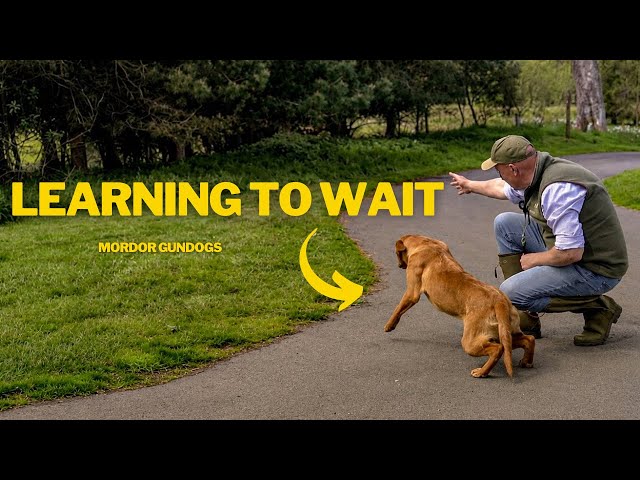 STEADINESS: FIRST LESSON