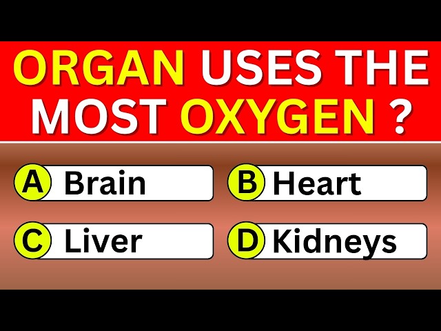 If You Reach 25+ Correct, You're Smarter Than Most 🧠💥 | General Knowledge Quiz | Wisdom Daily