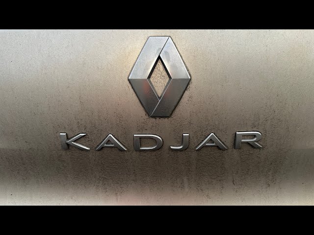 Renault Kadjar - We replaced the injector but light still comes on🙈