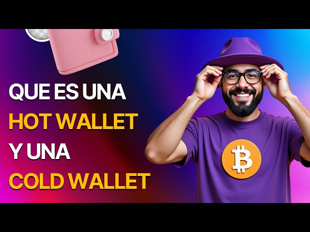 ¿Qué es una Hot Wallet y una Cold Wallet, y cuál me conviene?