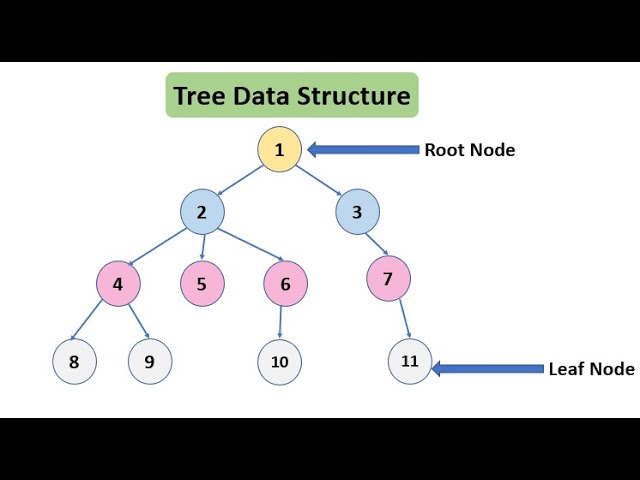 Unit 5 Tree Part 1