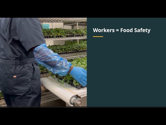 FSMA Refresher Video 1: Worker Health and Hygiene