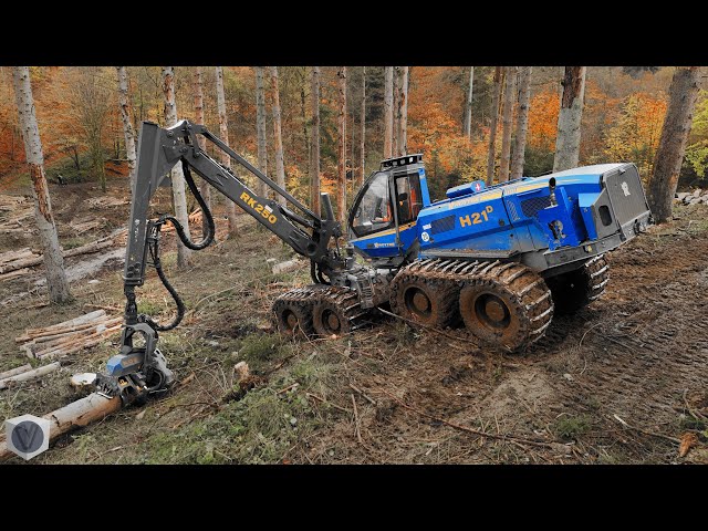 🌲 ROTTNE H21D cutting thick trees [4K]