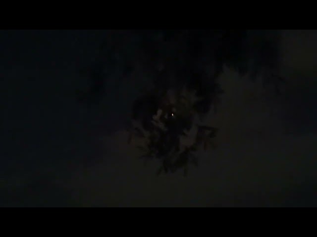 SpaceX Starlink Group 6-86 (iPhone 17 Pro Max)