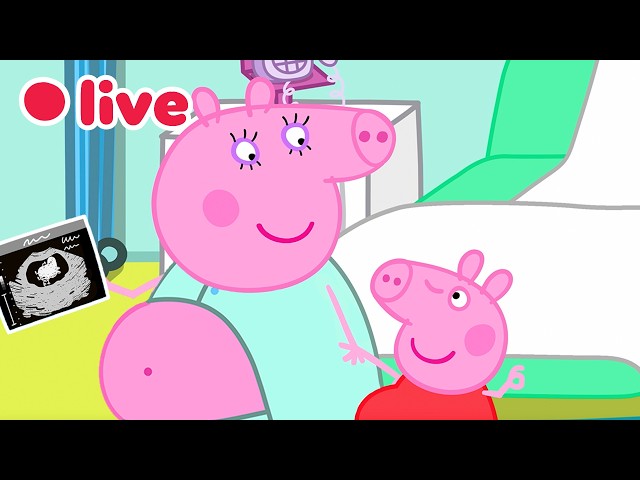 🔴 LIVE: Cutest Baby Evie Episode 🍼 Peppa Pig Best Big Sister Moments✨Kids Cartoons 🐷 FULL Episodes