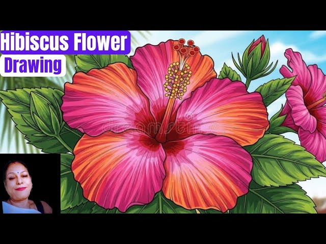 How To Draw A Hibiscus Flower With Colour Pencils| Easy Hibiscus Flower Drawing 