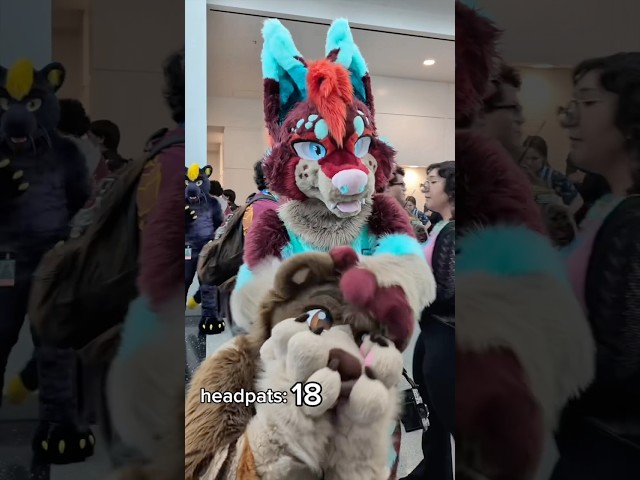 I got HOW MANY headpats at asc?!?!