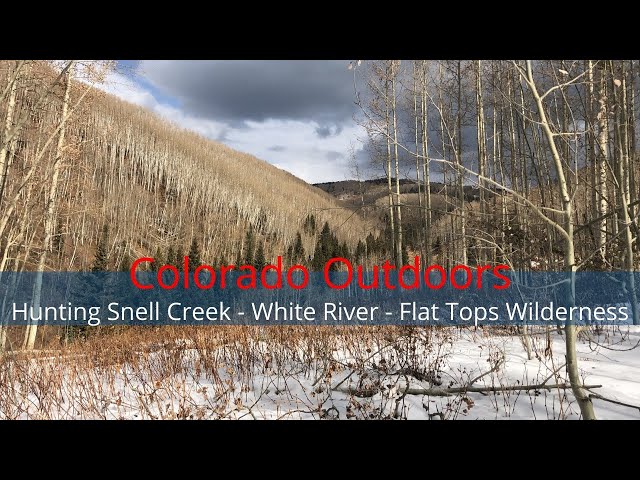 Hunting Snell Creek - White River National Forest - Colorado