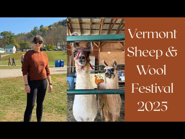 Vermont Sheep & Wool 2025 - My Yarn Haul, Plus a Visit to 4 More Yarn Stores