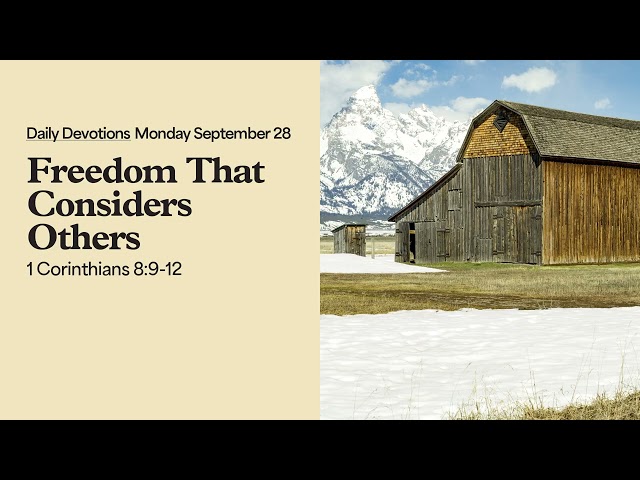Freedom That Considers Others - Daily Devotions