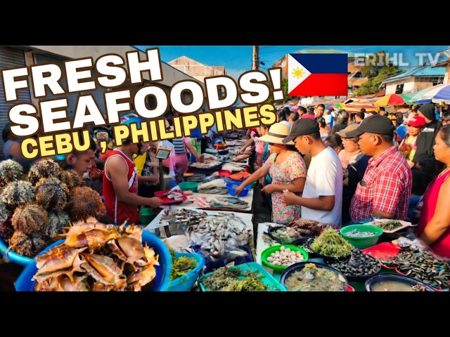 Cebu: Fresh Seafood! Exploring Buaya Public Market in Lapu-Lapu City, Cebu Philippines