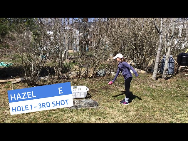 Socketball -  Golf Links Edition