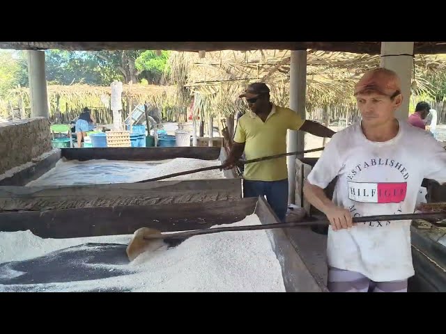 FARINHADA DOCUMENTARY - STEP-BY-STEP GUIDE ON HOW FLOUR AND STARCH ARE MADE