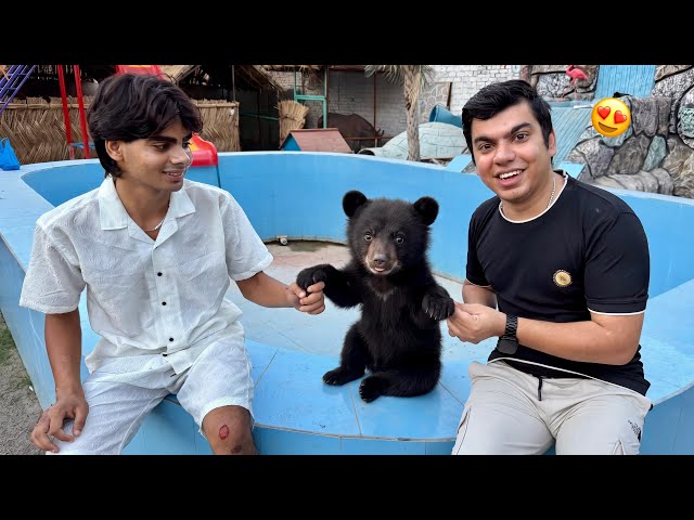 Zoo Mein Baby Bear Agea 😍 Surprise 