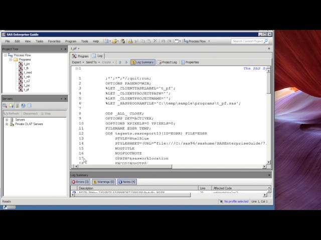 Running SAS Programs In Specific Order with Sy Truong
