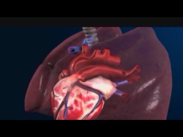 Taking testosterone without need may boost heart risk – and more health headlines