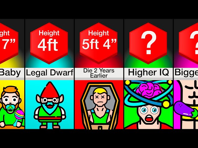 Comparison: Your Body At Different Heights